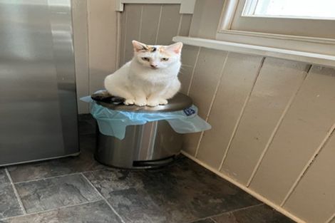 Photo of property in 385 Whangarei Heads Road, Tamaterau, Whangarei, 0174