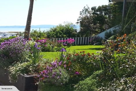 Photo of property in 101 Edward Street, Thames, 3500