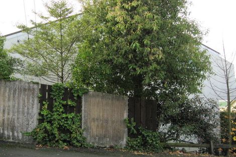 Photo of property in 21b Pacific Street, Roslyn, Dunedin, 9010