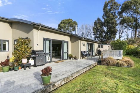 Photo of property in 37 Woodland Avenue, Mosgiel, 9024