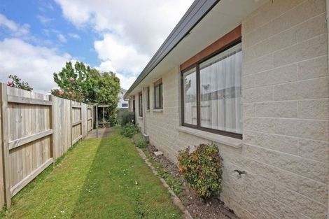 Photo of property in 138 Ferguson Street, West End, Palmerston North, 4412