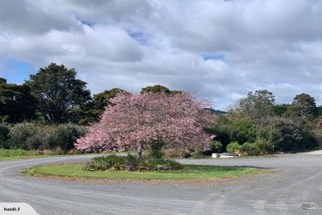 Photo of property in 291 Harris Road, Glenbervie, Whangarei, 0175