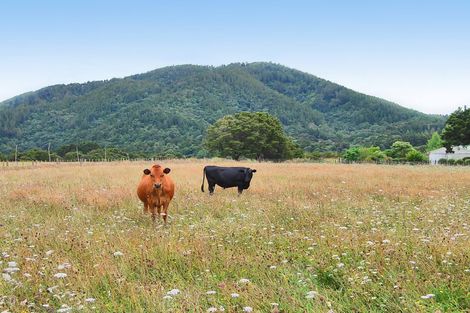 Photo of property in 255 Gibbons Road, Kaiwaka, 0573