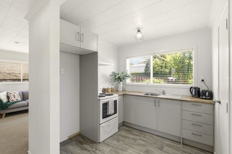 Photo of property in 1/24 Hori Street, Vogeltown, New Plymouth, 4310