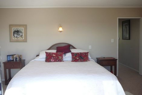 Photo of property in 58 Earnscleugh Road, Bridge Hill, Alexandra, 9320