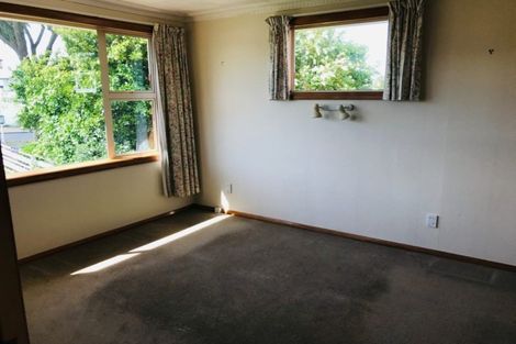 Photo of property in 115 Highcliff Road, Shiel Hill, Dunedin, 9013