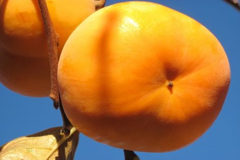 Photo of property in 811 Hakarimata Road, Huntly, 3771