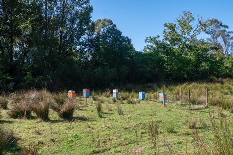 Photo of property in 27 Tongaporutu Road, Ohura, 3926