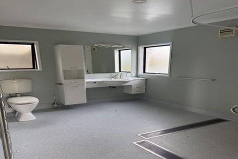 Photo of property in 119 Pook Road, Buckland, Pukekohe, 2677