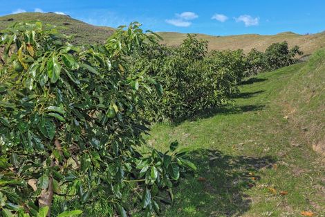 Photo of property in 144b Springfield Road, Taradale, Napier, 4183