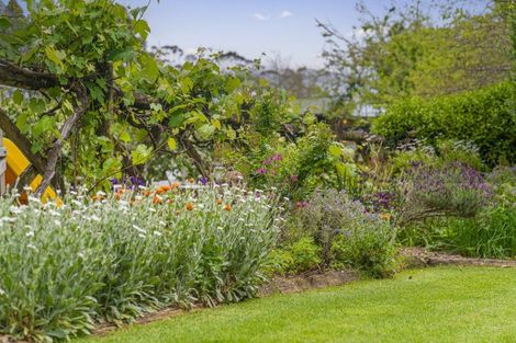 Photo of property in 895 State Highway 25, Whenuakite, Whitianga, 3591