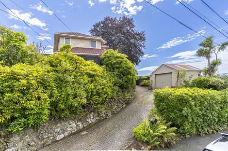 Photo of property in 21 Leven Street, Roslyn, Dunedin, 9010