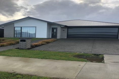 Photo of property in 14 Harp Street, Morrinsville, 3300
