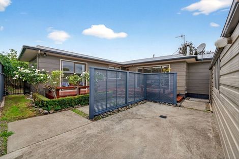 Photo of property in 41a Manawatu Street, Hokowhitu, Palmerston North, 4410