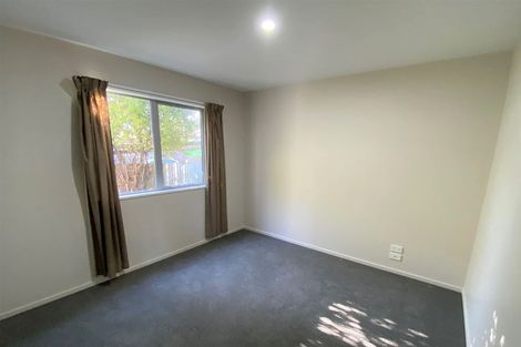 Photo of property in 117 Ruskin Street, Addington, Christchurch, 8024