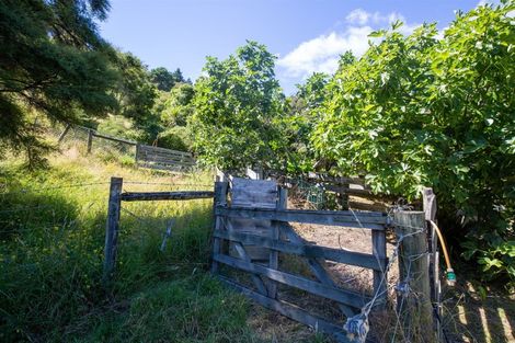 Photo of property in 53a Hillwood Drive, Wakapuaka, Nelson, 7071