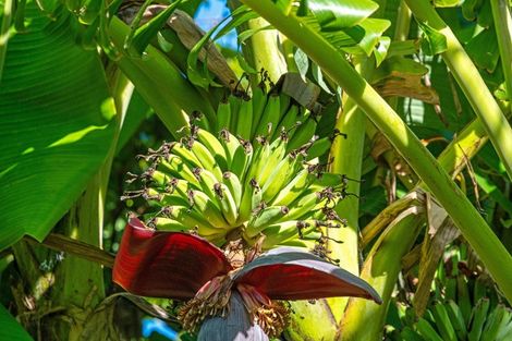 Photo of property in 2640 South Head Road, South Head, Helensville, 0874