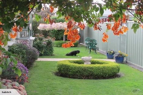 Photo of property in 44 Opaki Road, Lansdowne, Masterton, 5810