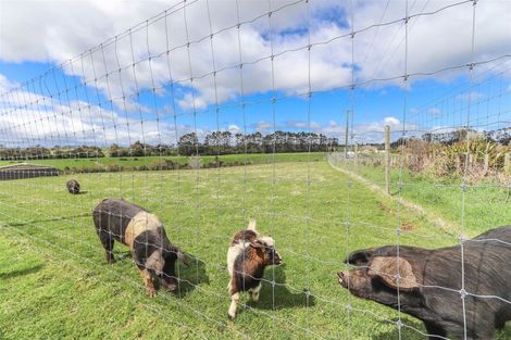 Photo of property in 2599 Mountain Road, Tariki, Stratford, 4394