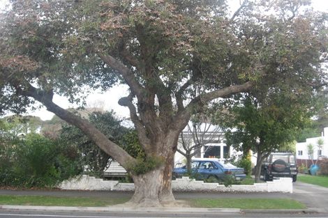 Photo of property in 18 Tom Parker Avenue, Marewa, Napier, 4110