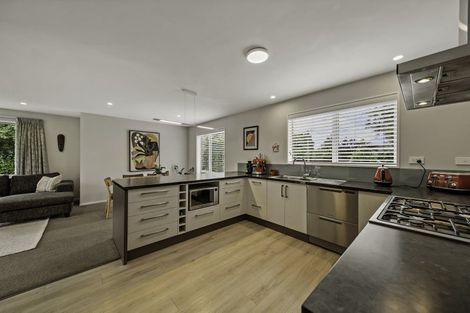 Photo of property in 45 Grampian Street, Casebrook, Christchurch, 8051