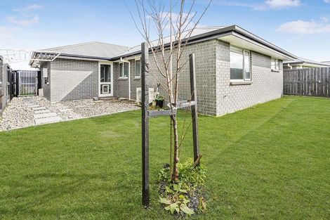 Photo of property in 6 Harp Street, Morrinsville, 3300