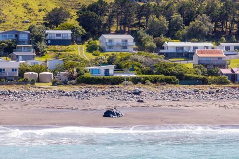 Photo of property in 9 Mangatoetoe Grove, Cape Palliser, Pirinoa, 5772