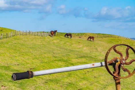 Photo of property in 217 Underwood Road, Wellsford, 0973