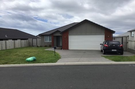 Photo of property in 43 Bert Wall Drive, Omokoroa, 3114