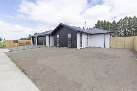 Photo of property in 46 Memorial Crescent, Methven, 7730