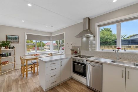 Photo of property in 51 Duke Street, Levin, 5510