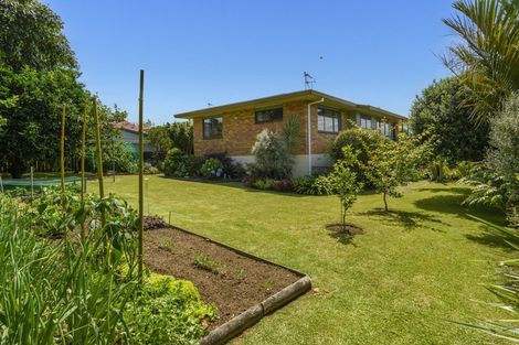 Photo of property in 12 Myrtle Drive, Omokoroa, 3114