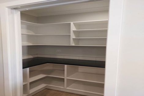 Photo of property in 17 Santiago Place, Flagstaff, Hamilton, 3210