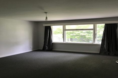 Photo of property in 40 Harman Street, Addington, Christchurch, 8024