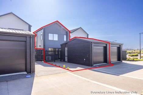 Photo of property in 52 Musselwhite Terrace, Chartwell, 3210