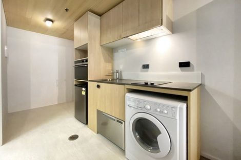 Photo of property in Vedado Apartments, 208/41 Hopper Street, Mount Cook, Wellington, 6011