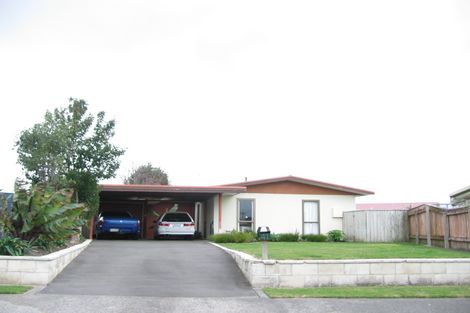 Photo of property in 41 Lanark Place, Tamatea, Napier, 4112