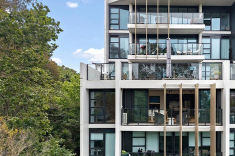 Photo of property in 305/8 Kingsland Terrace, Kingsland, Auckland, 1021