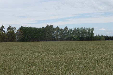 Photo of property in 72 Grahams Road, Tinwald, Ashburton, 7774