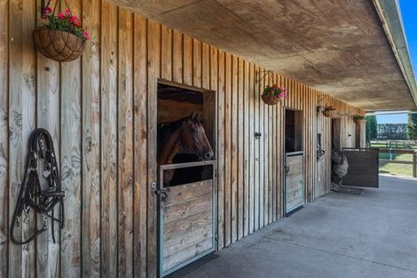 Photo of property in 31 Melville Road, Awakeri, Whakatane, 3193