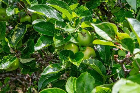 Photo of property in 33 Aylmers Valley Road, Akaroa, 7520