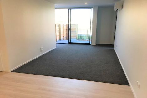 Photo of property in 109a Canon Street, Edgeware, Christchurch, 8013