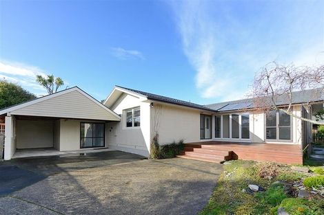 Photo of property in 20a Coughtrey Street, Saint Clair, Dunedin, 9012