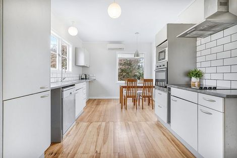 Photo of property in 51 Sillary Street, Hamilton East, Hamilton, 3216