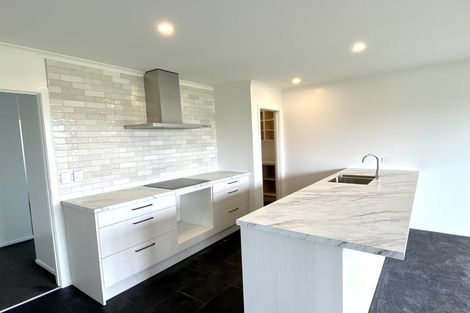 Photo of property in 19 Tahuna Minhinnick Drive, Glenbrook, Waiuku, 2681