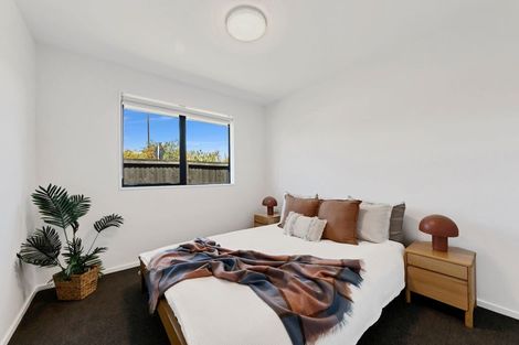 Photo of property in 20 Larne Place, Belfast, Christchurch, 8051