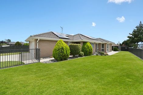 Photo of property in 2 Astor Avenue, Dinsdale, Hamilton, 3204