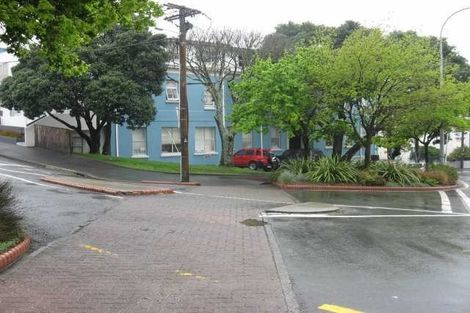 Photo of property in 4/30 Hanson Street, Mount Cook, Wellington, 6021