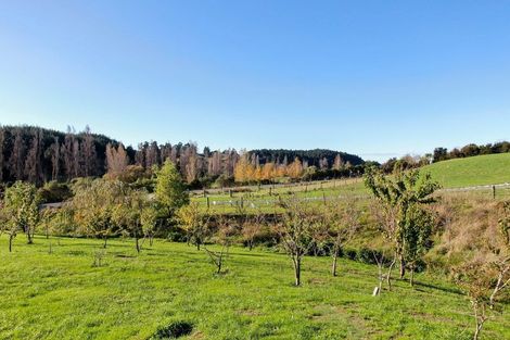 Photo of property in 119 Stringer Road, Redwood Valley, Richmond, 7081