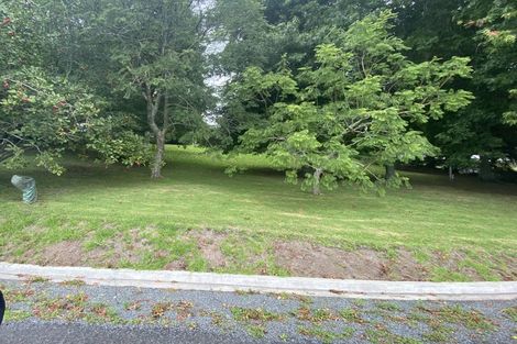 Photo of property in 111 Hastings Road, Pyes Pa, Tauranga, 3112